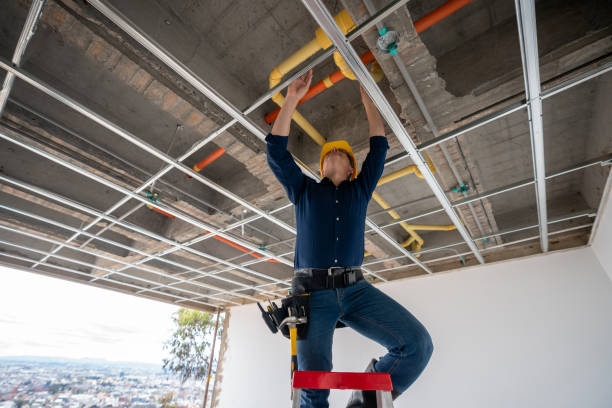 Best Plumbing Inspection Services  in Grayling, MI